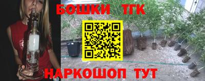 крисы Заводоуковск