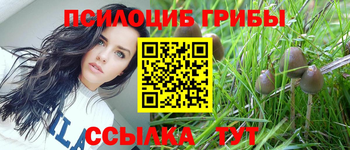Псилоцибиновые грибы MAGIC MUSHROOMS Лысьва